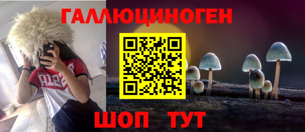 Галлюциногенные грибы Psilocybe  Вход с VPN  Лабытнанги 