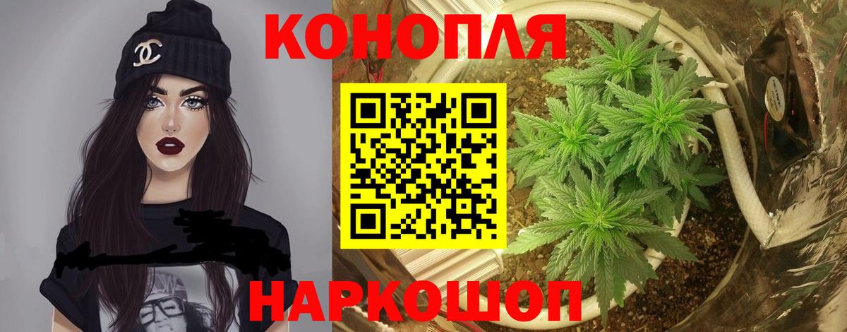 Каннабис конопля Лабытнанги